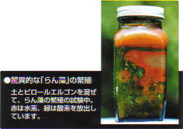 �������ɐB�����ʐ^