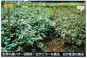 �����r�ʐ^